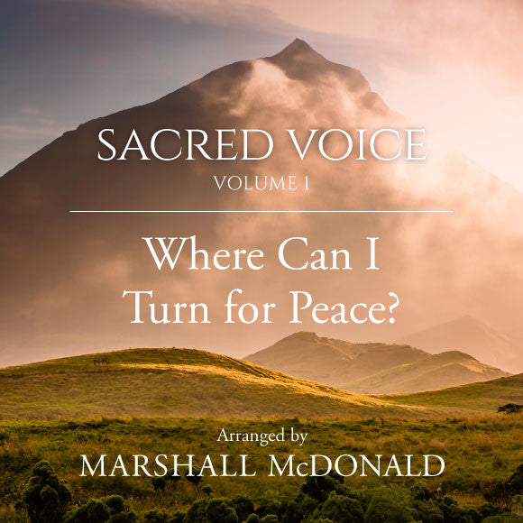 Where Can I Turn for Peace? (vocal MP3)